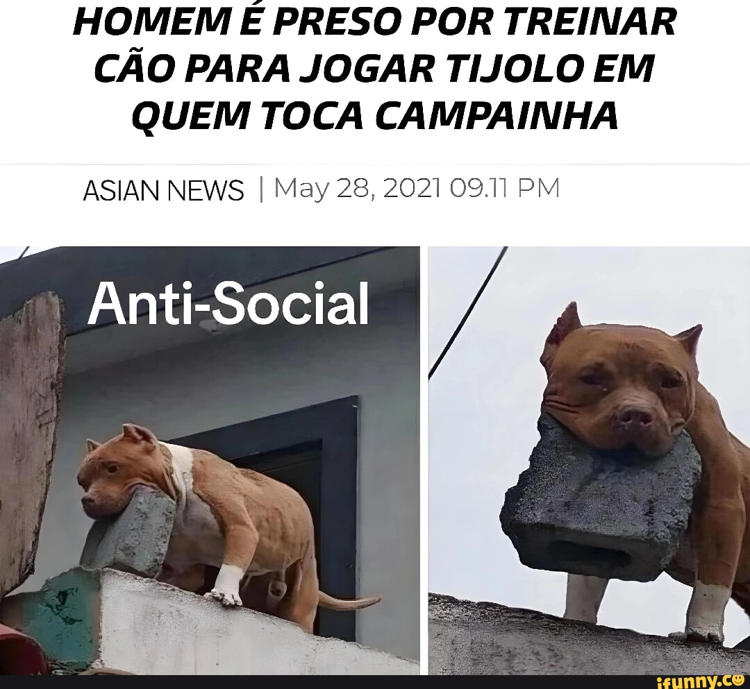 Picture memes xpfxcR647 by Dogslapper_2019 - iFunny Brazil