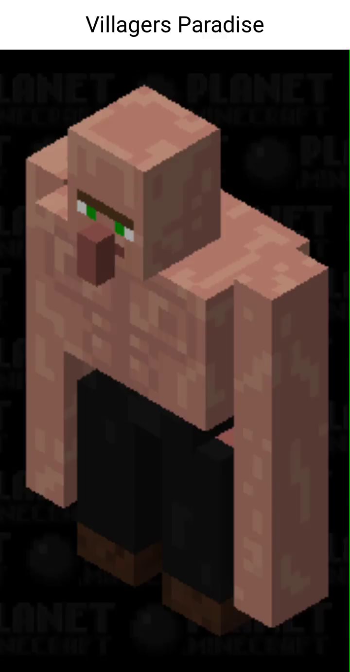 Quem você salvaria? adm da choquei curte e comenta capivara do minecraft só  olha - iFunny Brazil