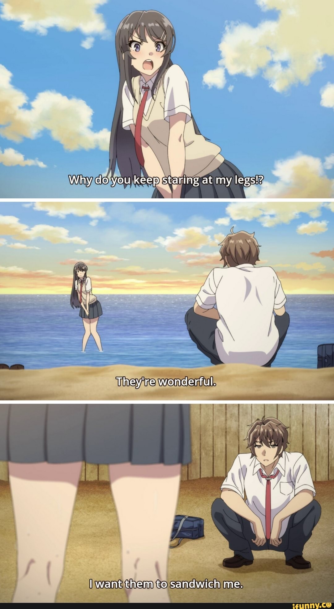 Why do you keep staring at my legs!? They're wonderful. want them to