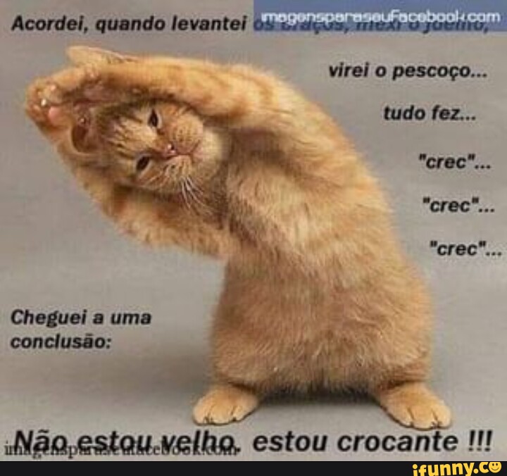 Beljo memes. Best Collection of funny Beljo pictures on iFunny Brazil