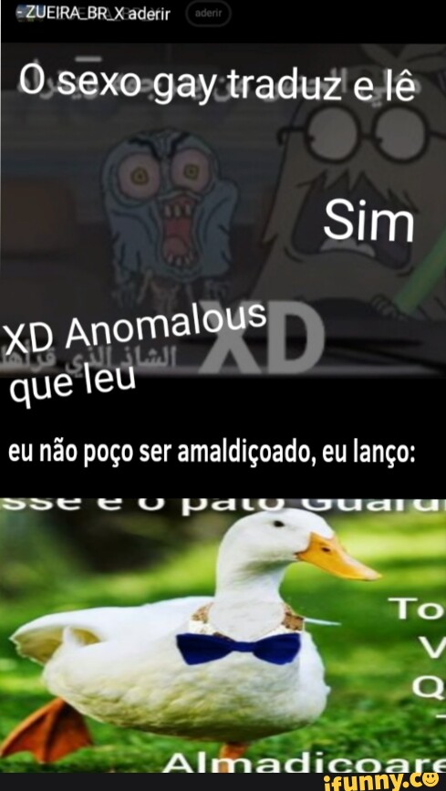 Xp memes. Best Collection of funny Xp pictures on iFunny Brazil