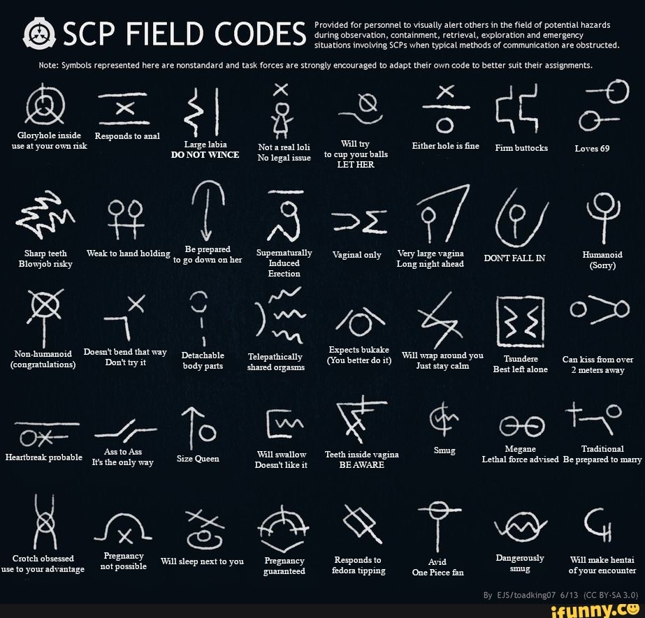 SCP Field Codes, SCP Foundation