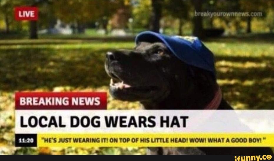 A dog with a hat - Meme Guy