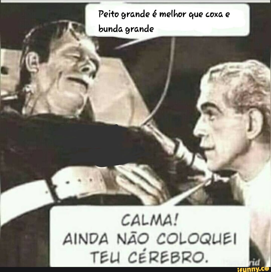 Peito grande é melhor que coxa e bunda grande CALMA! AINDA NÃO COLOQUEI TEU  CÉREBRO. - iFunny Brazil