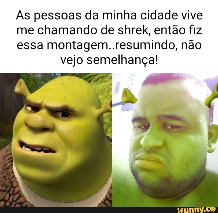 Todo dia um meme do shrek gordo