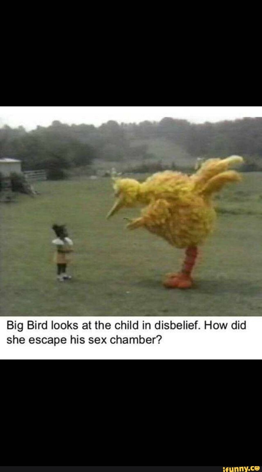 Big Bird looks at the child ir; disbelief. How did she escape his sex  chamber? - iFunny Brazil