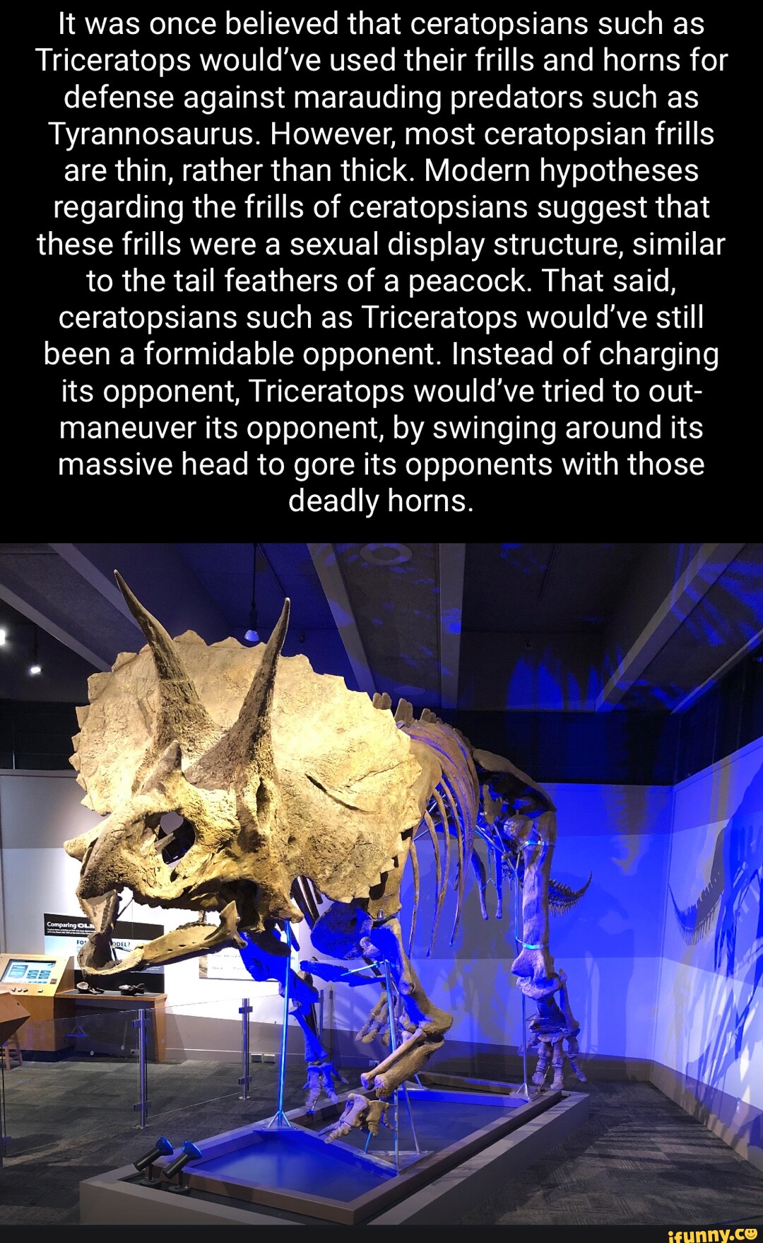 It was once believed that ceratopsians such as Triceratops would've ...