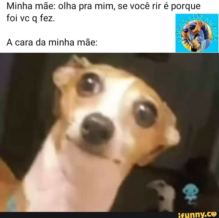 A.C.e mLILHU Hoje cara tal eu VC ir assistir A.ce ITHI) Hoje Shreka 3? Shrek***  KKKKKKKKKKKKKKKKKKK - iFunny Brazil