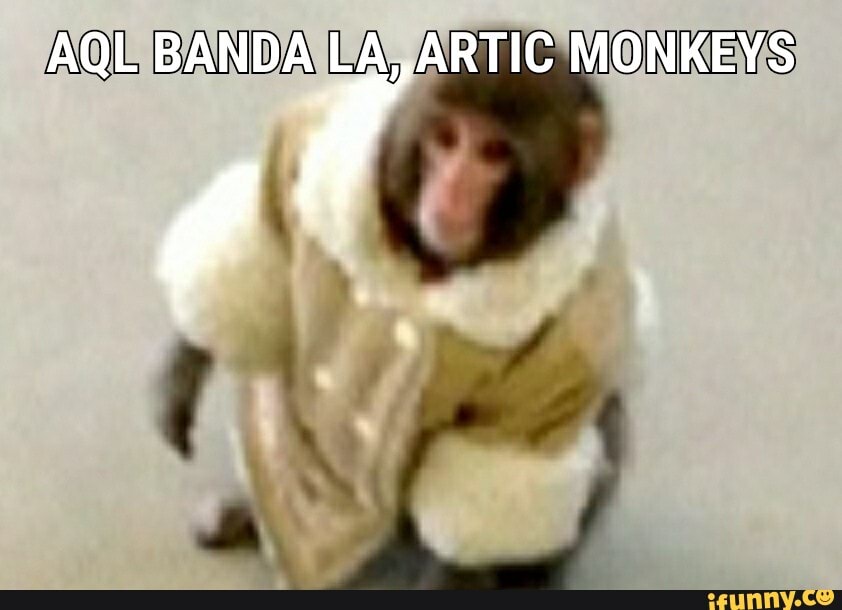 Mokey memes. Best Collection of funny Mokey pictures on iFunny Brazil