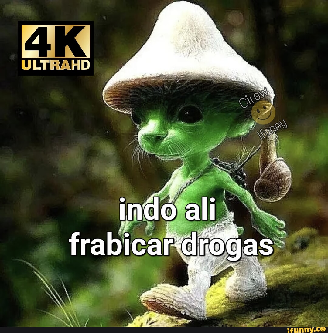 Fazer um meme fazer um meme gamer fazer um meme provocando . pegarno  tiktoko meme - iFunny Brazil