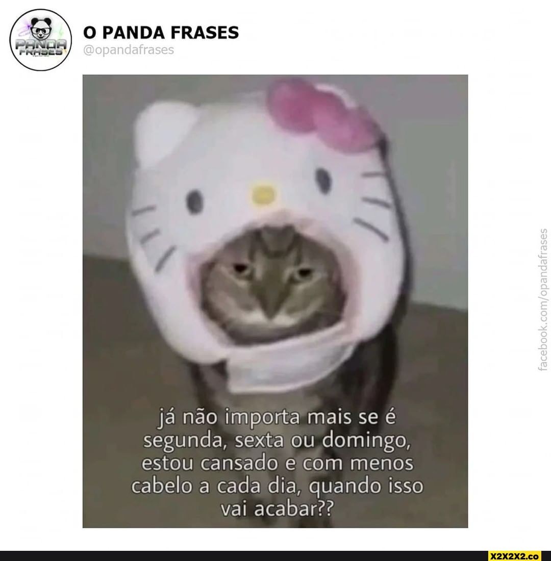 pandaasincero_ - 🔥🔥🔥 @pandaasincero_ QUER OS MELHORES MEMES, AS MELHORES  INDIRETAS? Então já me sigam ai ➡️ @pandaasincero_ 🔥 . . . . . . . . .  #cantadasparaocrush #cantadas #cantadasengracadas #cantadasdepedreiro #