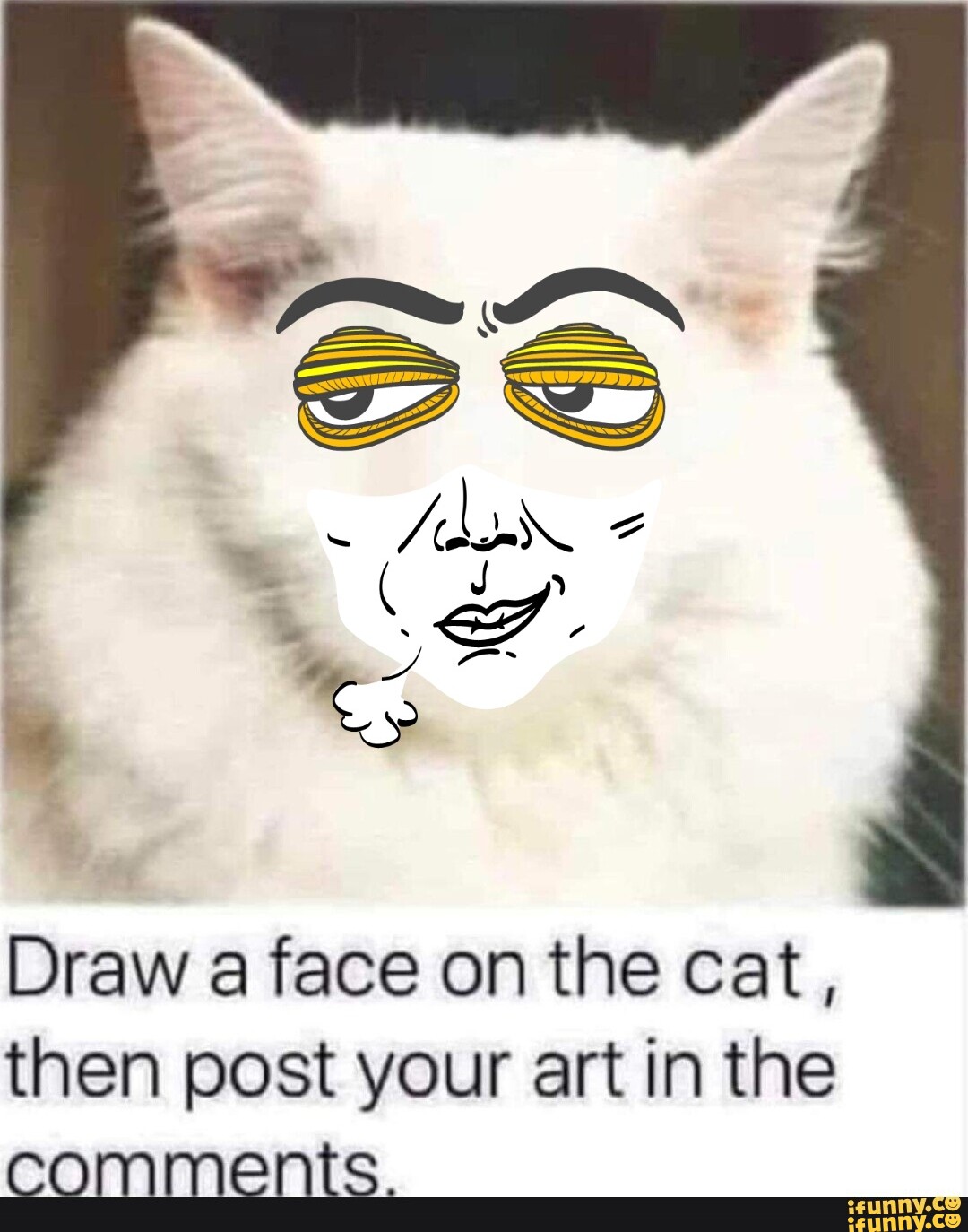 Draw a face on the cat, then post your art in the comments. - iFunny