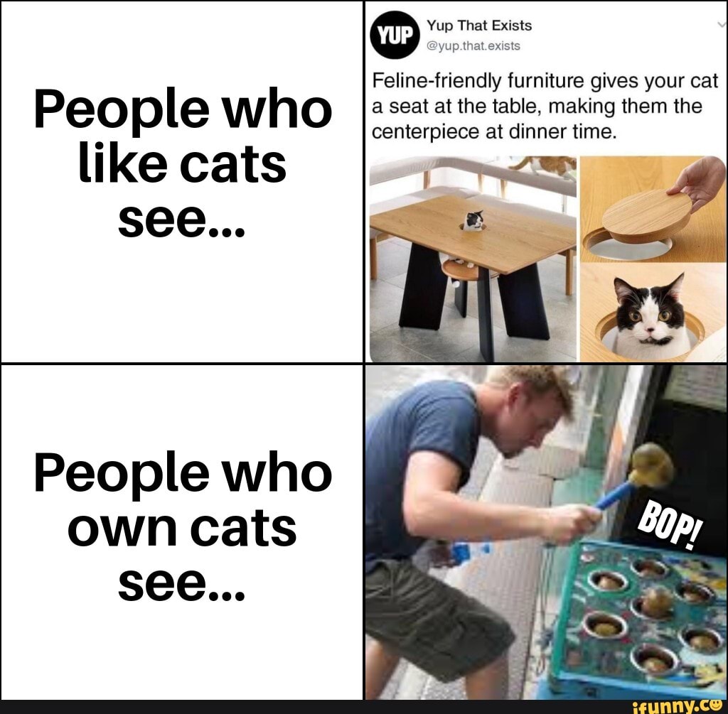 Yup That Exists Felinefriendly furniture gives your cat a seat at the