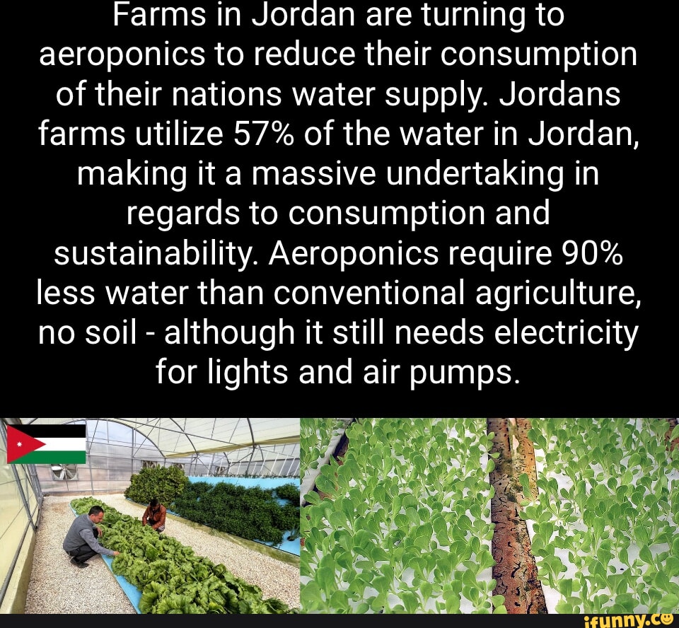 Farms in Jordan are turning to aeroponics to reduce their consumption