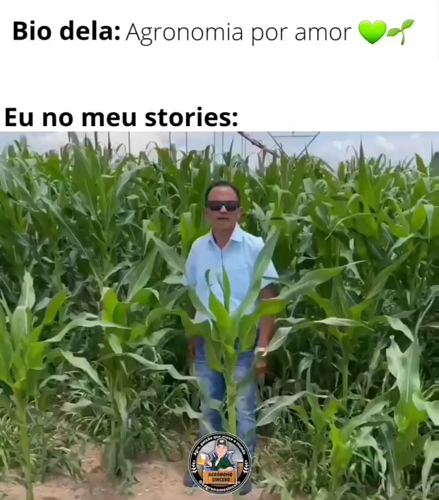 porto alegre memes on X: Galera do agro na EAD