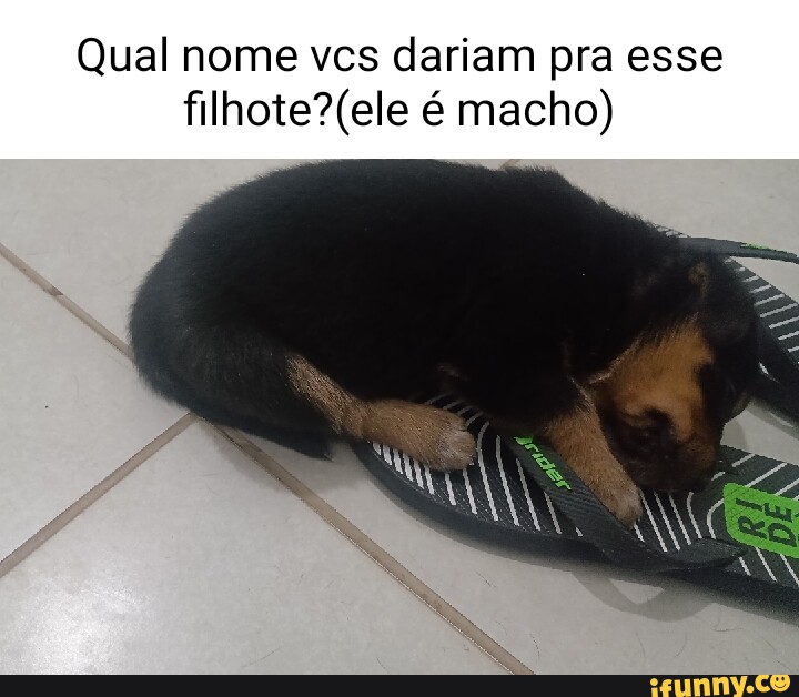 Qual nome vcs dariam a esse alien - iFunny Brazil