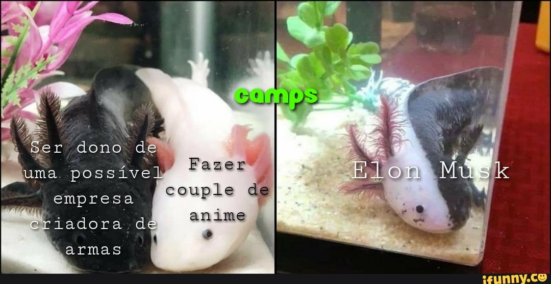Bélico memes. Best Collection of funny Bélico pictures on iFunny