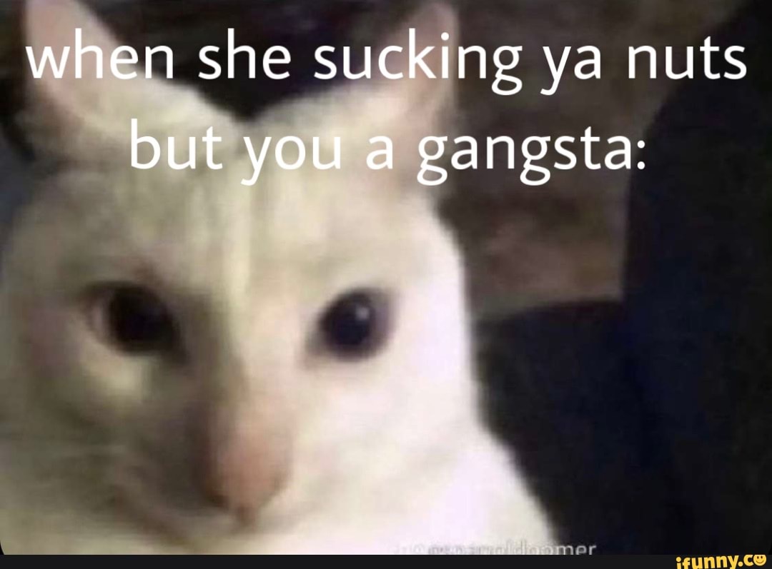 When she sucking ya nuts but you a gangsta: - iFunny Brazil