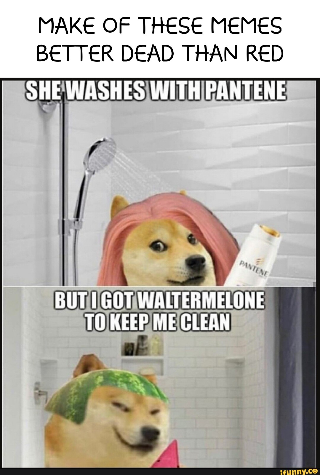 MAKE OF THESE MEMES BETTER DEAD THAN RED SHE WASHES WITH PANTENE