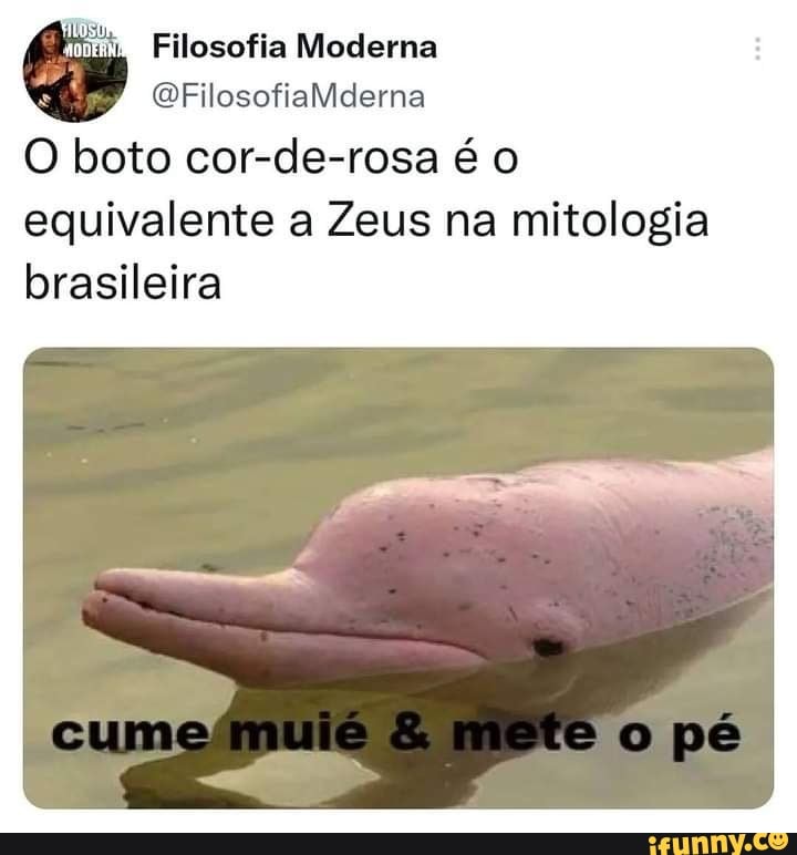 Filosofia Moderna EFilosofiaMiederma boto cor-de-rosa é equivalente a Zeus  na mitologia brasileira / - cume mule opê - iFunny Brazil