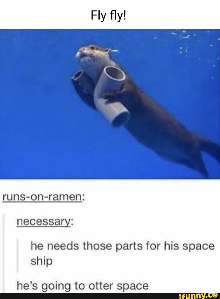 Otterspace memes. Best Collection of funny Otterspace pictures on ...