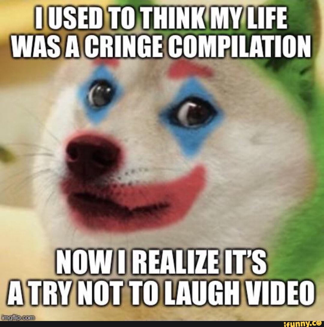 My life is like a video game (TIKTOK CRINGE) on Make a GIF