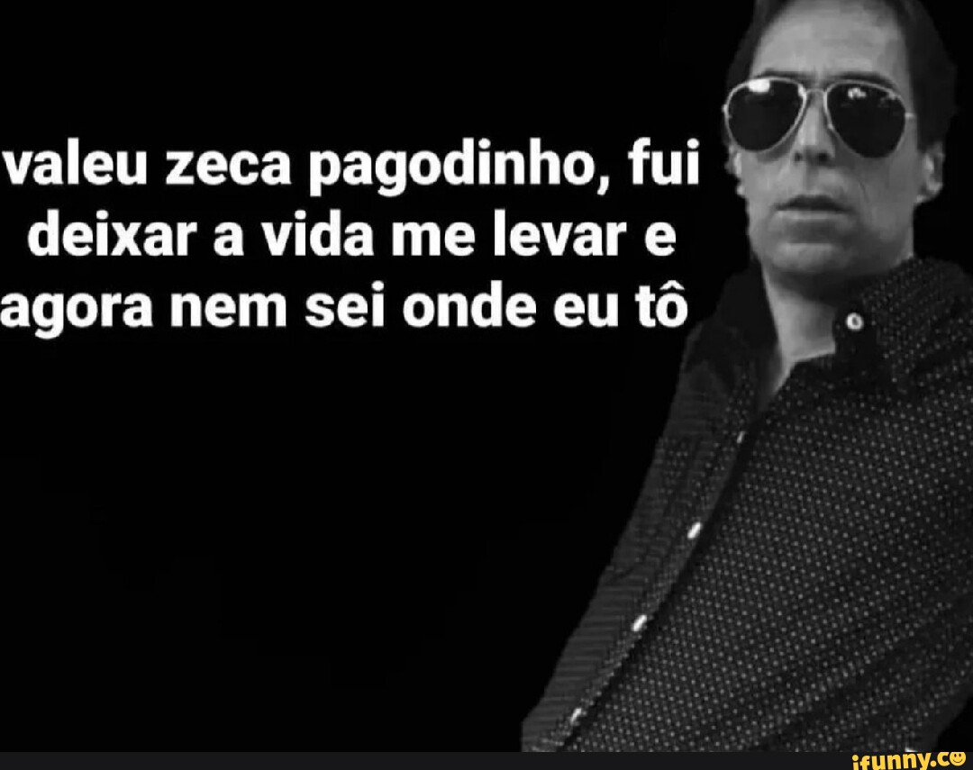 Deixa A Vida Me Levar - Zeca Pagodinho