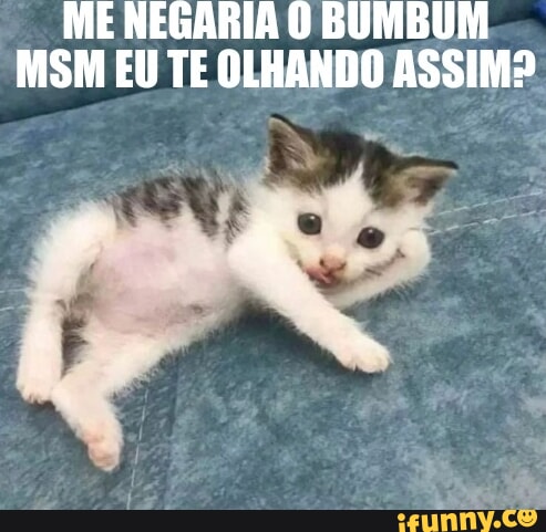 Nariagari memes. Best Collection of funny Nariagari pictures on iFunny  Brazil
