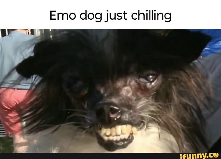 EMO Pet on the App Store