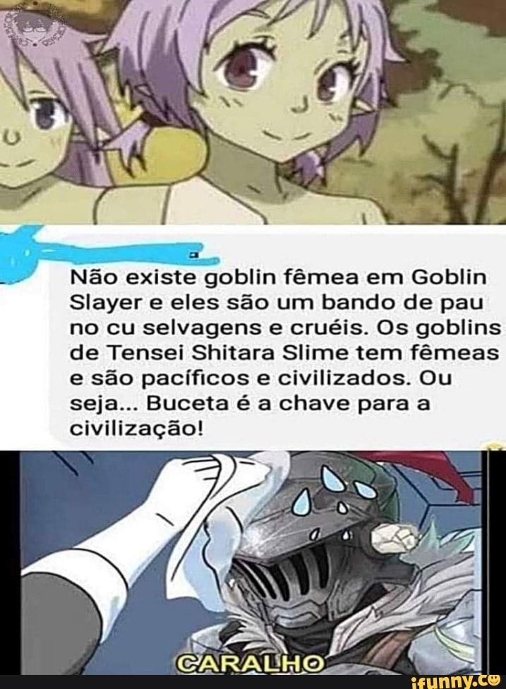 Nossa Goblin Slayer é muito bom! Eu depois de ver: Goblins não é mesmo? -  iFunny Brazil