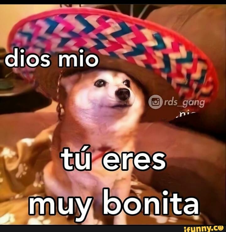 eres tan bonita meme