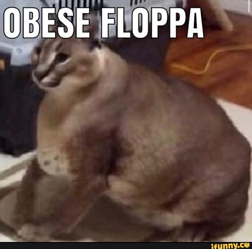 At no Roblox Raise a Floppa raise a floppa d691% &25,2 mil - iFunny Brazil