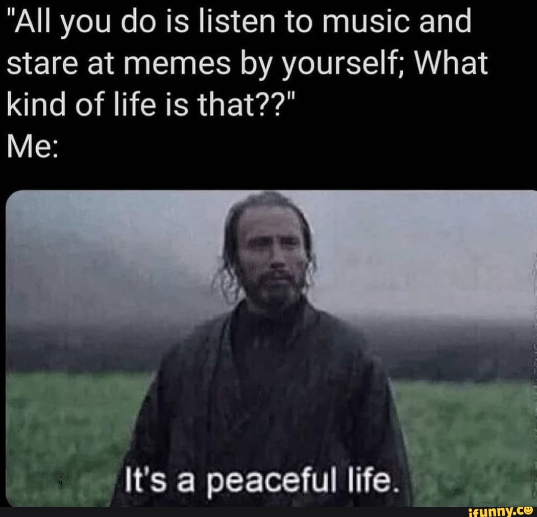 All you do is listen to music and stare at memes by yourself; What kind of  life is that?? Me: Its a peaceful life. - iFunny Brazil