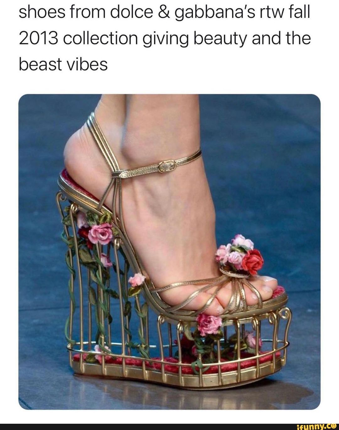 Dolce gabbana beauty and the discount beast shoes