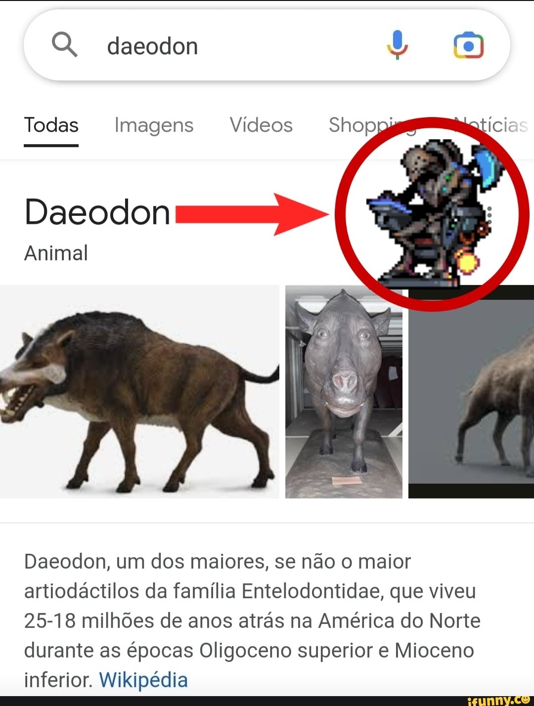 Q, daeodon Todas Imagens Vídeos Shop Daeodon Animal Daeodon, um dos maiores,  se não o maior