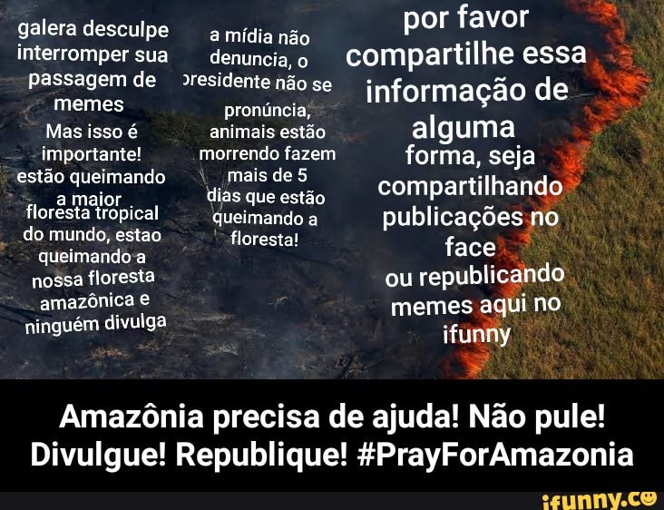 Quando a gente Magüta desaparecer, o mundo inteiro irá se acabar -  Amazônia Latitude