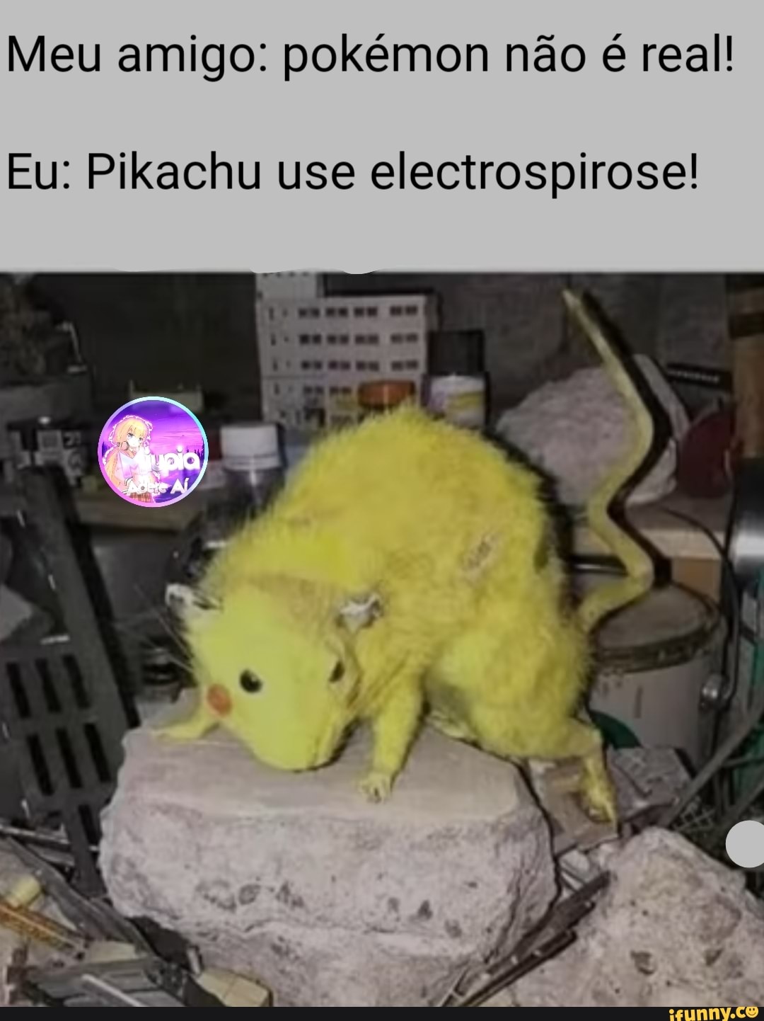 Quem vence? Literalmente o Um rato elétrico, deus Pokémon mas ele é do  balacobaico OU - iFunny Brazil