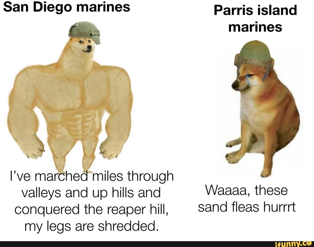 San Diego marines Parris island marines valleys and up hills and