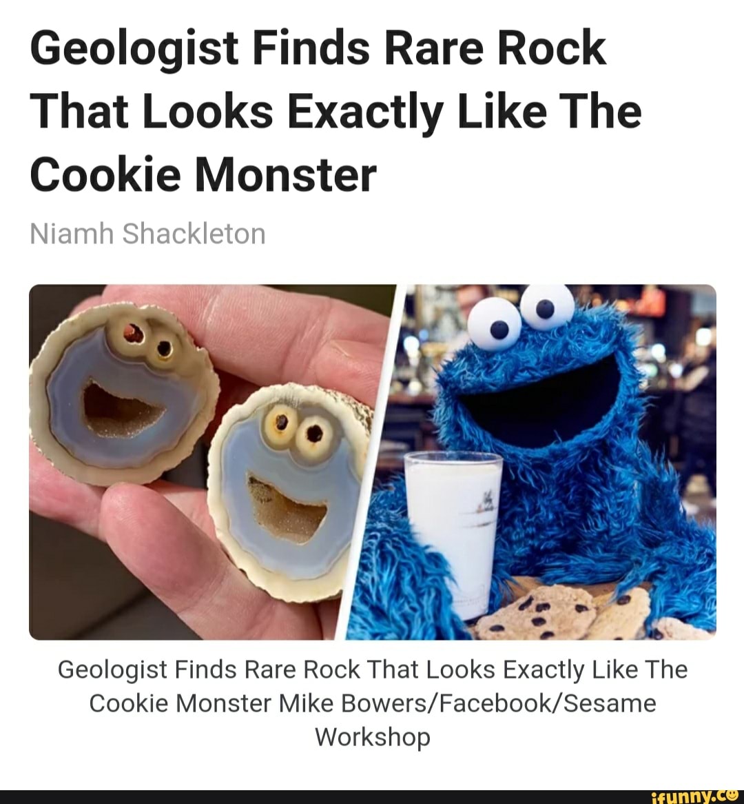 Geologist Finds Rare Rock That Looks Exactly Like The Cookie Monster ...