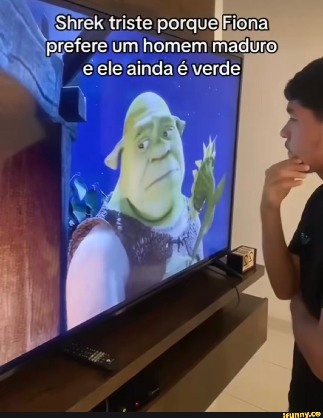 Shrek triste porque Fiona prefere um homem maduro e ele ainda é verde -  iFunny Brazil
