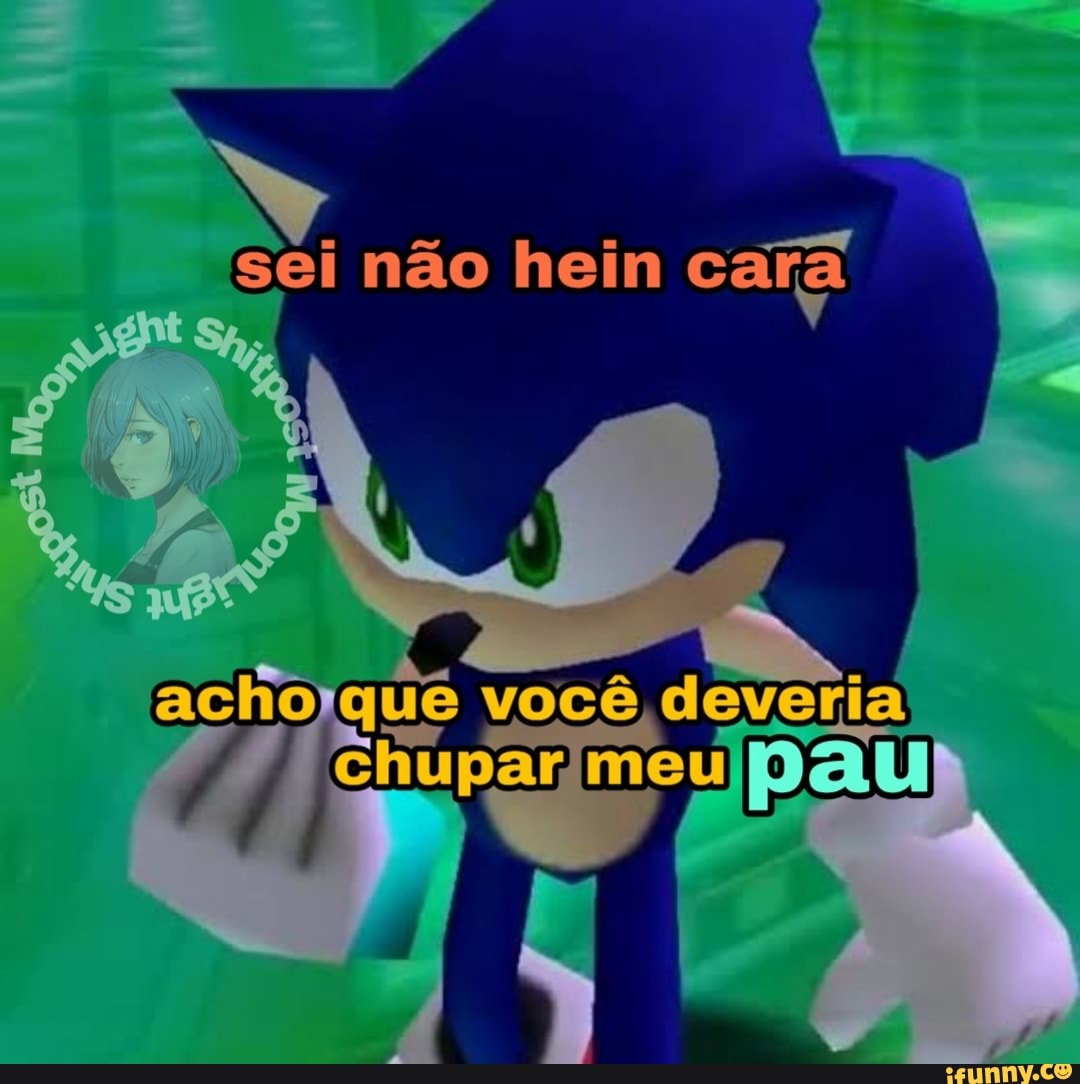 Sonico cacaposteo: Sonic memes