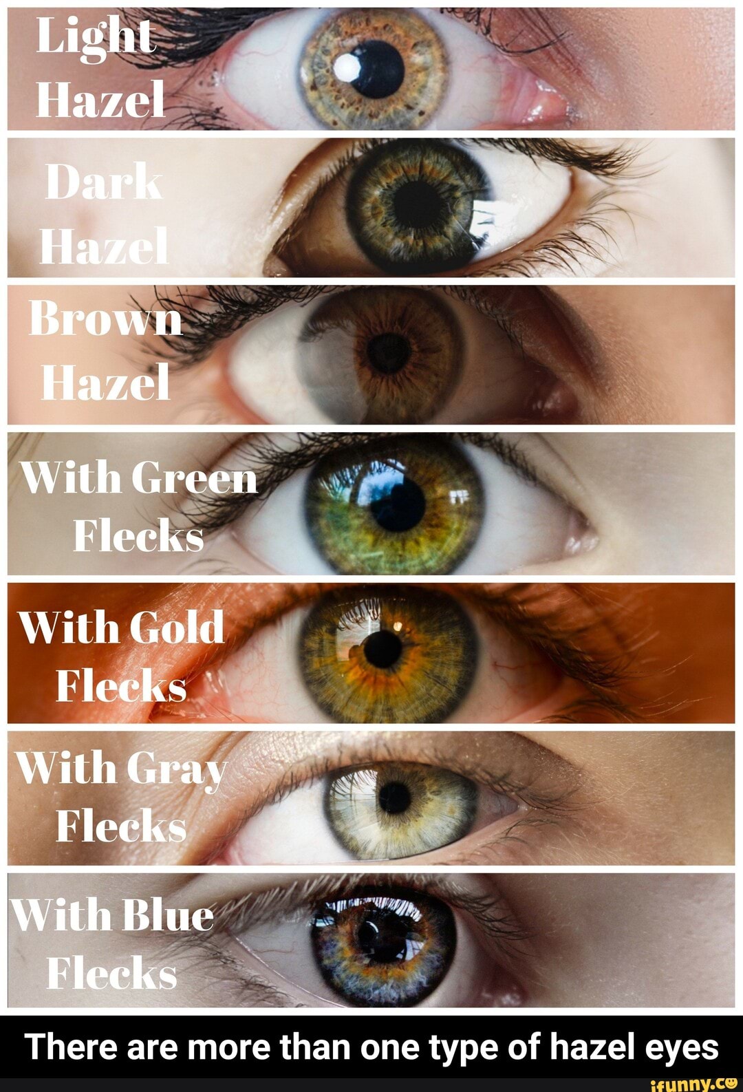 light-hazel-brown-hazel-with-green-flecks-with-gold-leeks-with-gray