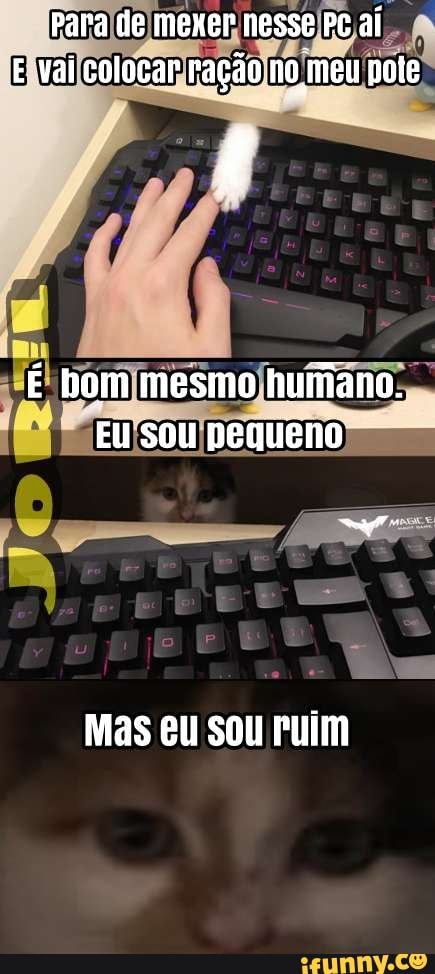 Fato assustador se vc não recortar as bordas do meme 98% do ifunny vai te  xingar. porra como arruma isso? - iFunny Brazil