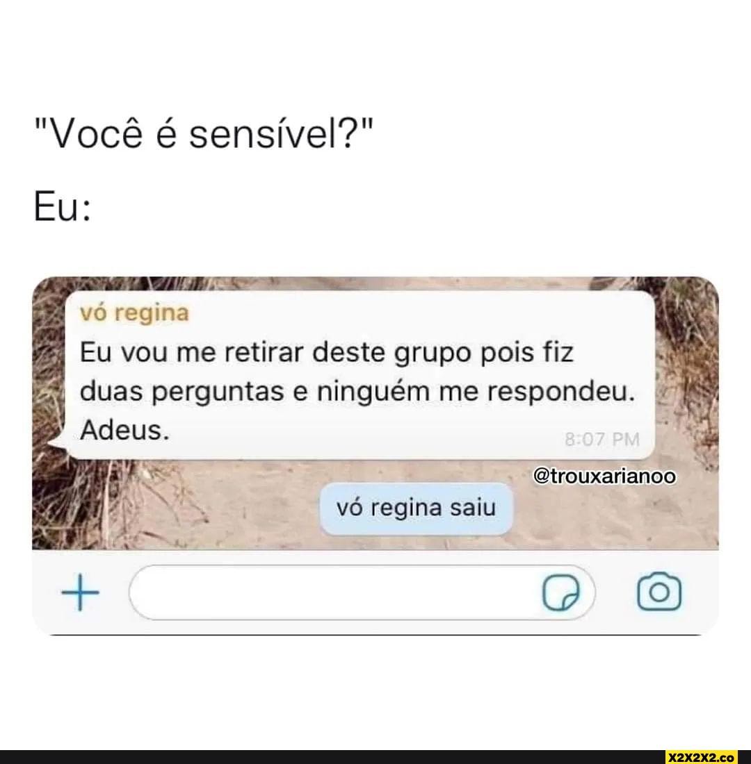 Memes Acessíveis on X: Conversa de WhatsApp: vó regina: Eu vou me