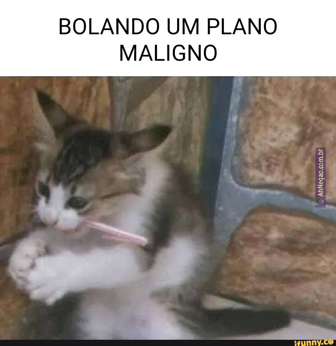 Shitpostifunny memes. Best Collection of funny Shitpostifunny pictures on  iFunny Brazil