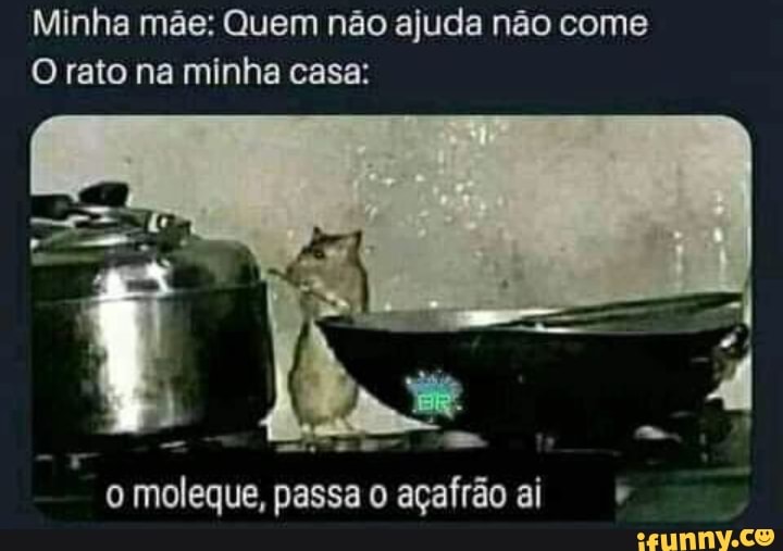 Achei um rato na minha casa, o que devo fazer agora?