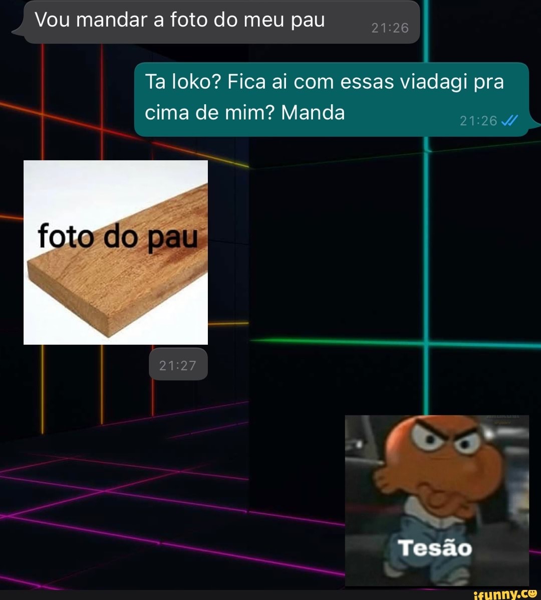 Vou mandar a foto do meu pau I Ta loko? Fica ai com essas viadagi pra cima  de mim? Manda do pau 27 Tesão - iFunny Brazil