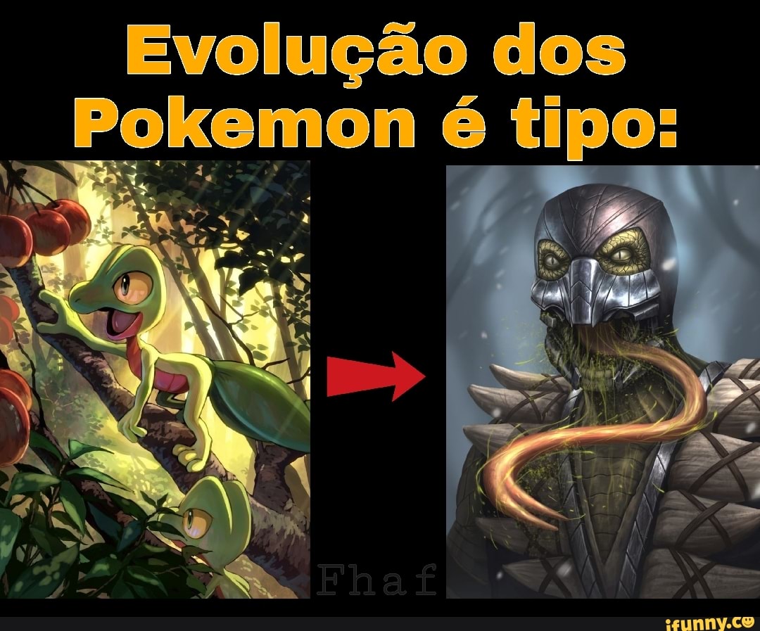 Tipos De Evolução