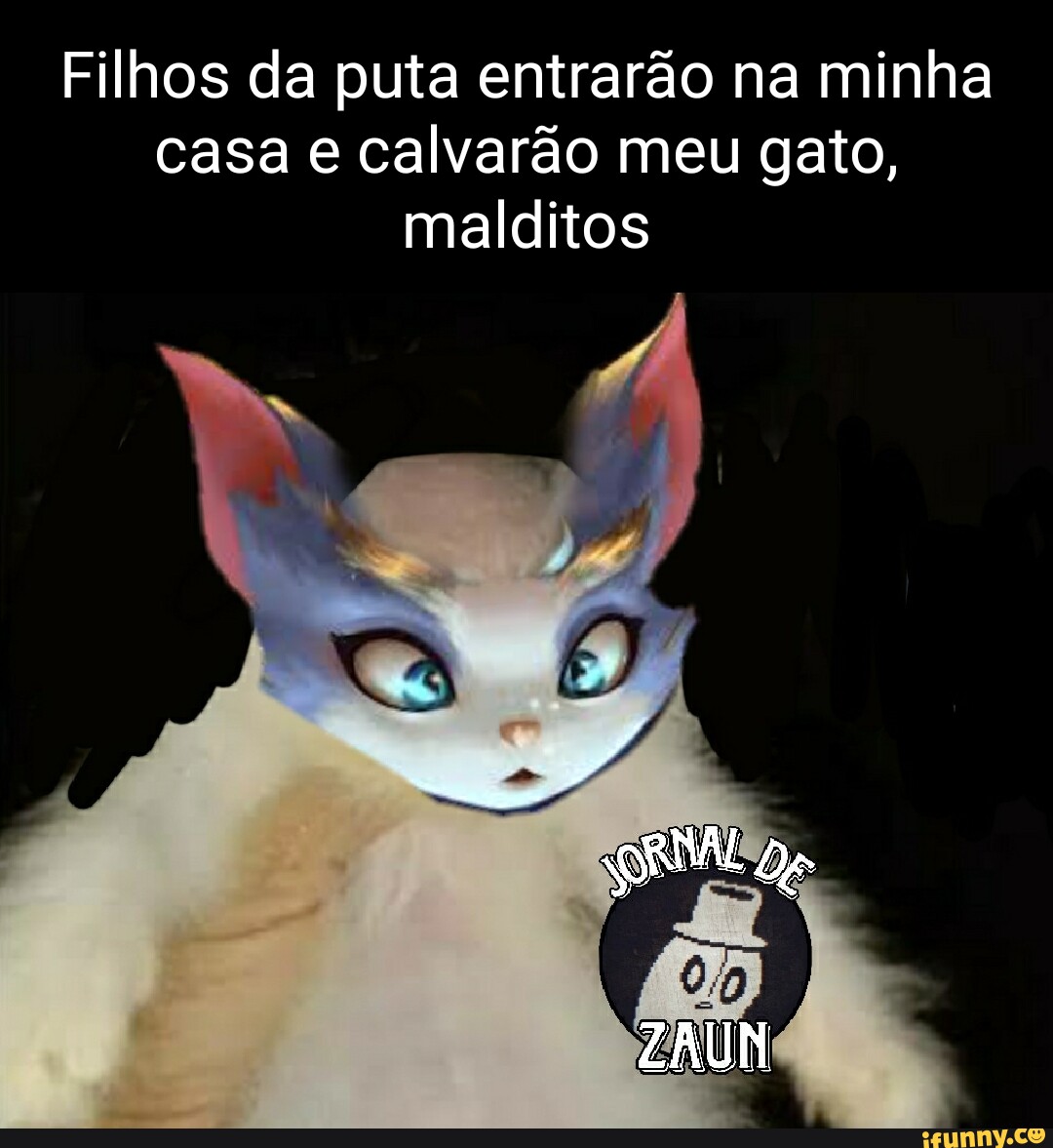 🐈 o GATO mais PUTASSO pra ter em CASA, wildboppre . teriam um gatin