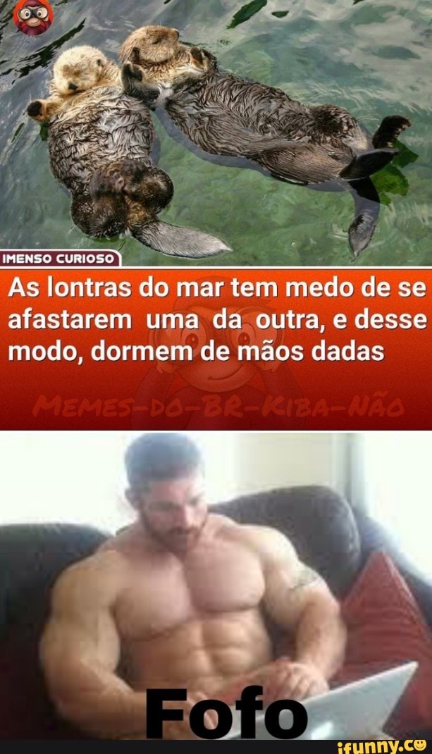 Punhetados memes. Best Collection of funny Punhetados pictures on iFunny  Brazil